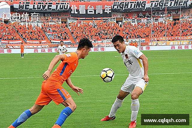 解读熊猫体育app